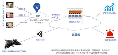 天翼終端展 智慧農業產業園的物聯網技術服務新圖景